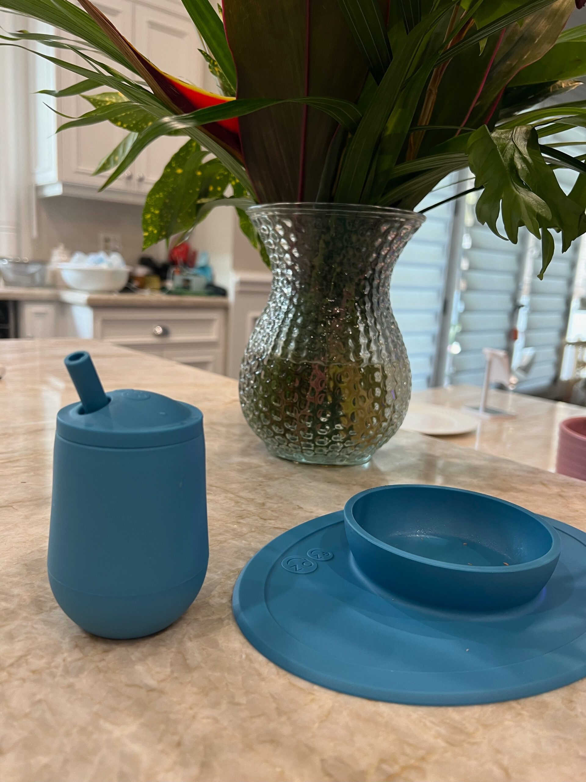 A blue toddler cup and a matching plate with a bowl sit on a kitchen counter. Behind them is a glass vase with green leaves.