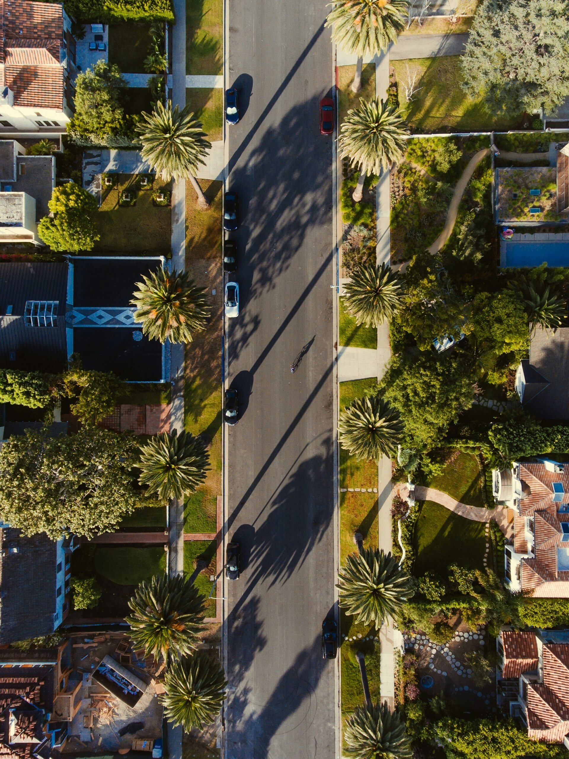 Aerial view of a suburban street lined with palm trees and houses, showing several cars parked and driving on both sides of the road with shadows stretching across the pavement.