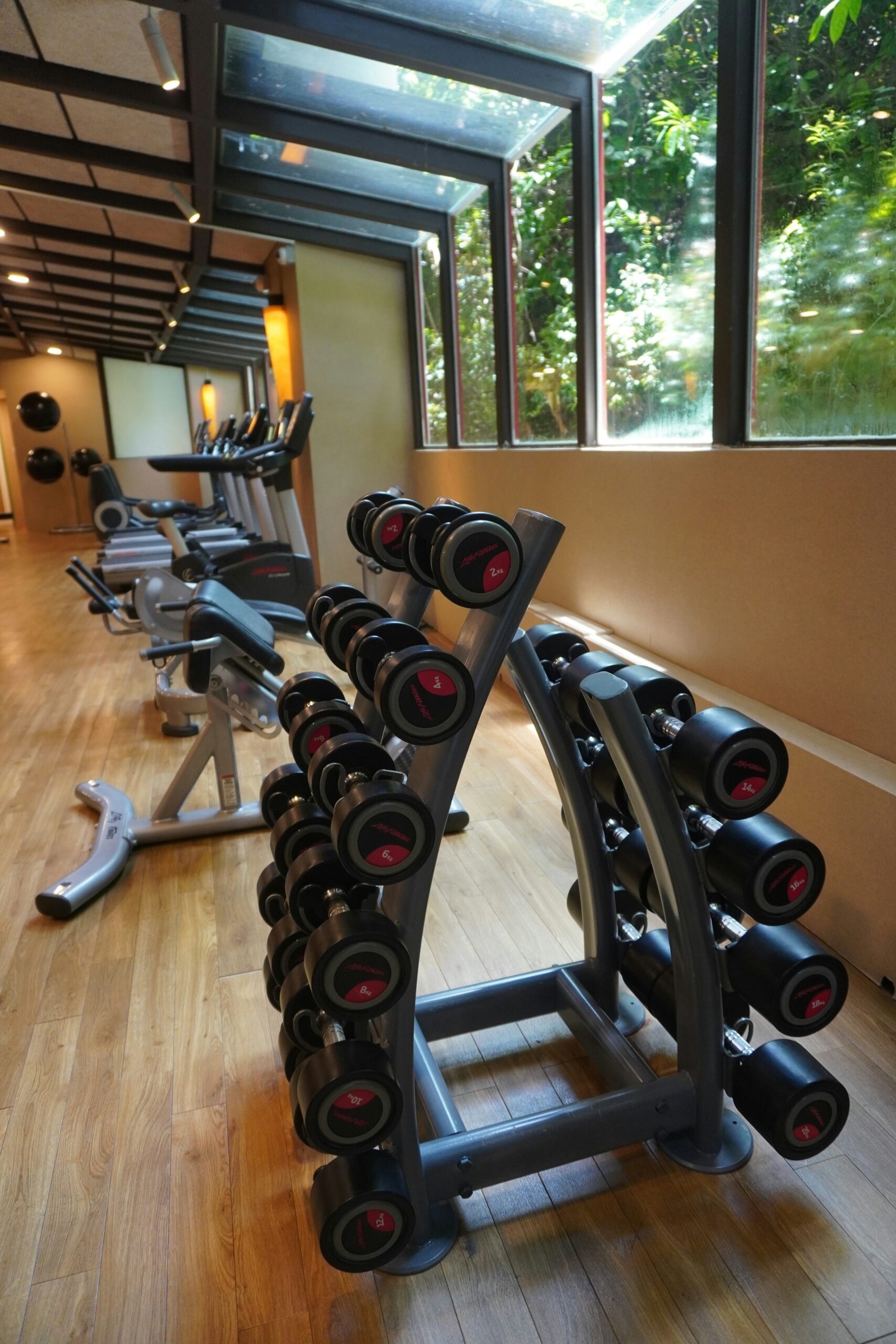 A modern gym with a rack of dumbbells, stationary bikes, and large windows offering a view of greenery outside. The wooden floor adds a warm touch to the interior.