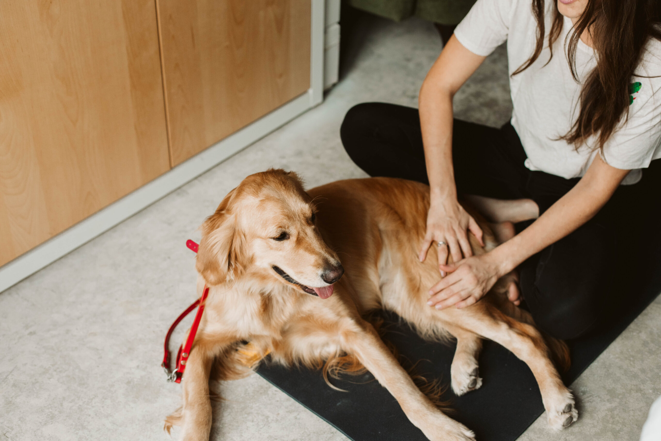 Person sitting on the floor petting a golden retriever lying on a black mat, with a wooden cabinet in the background.