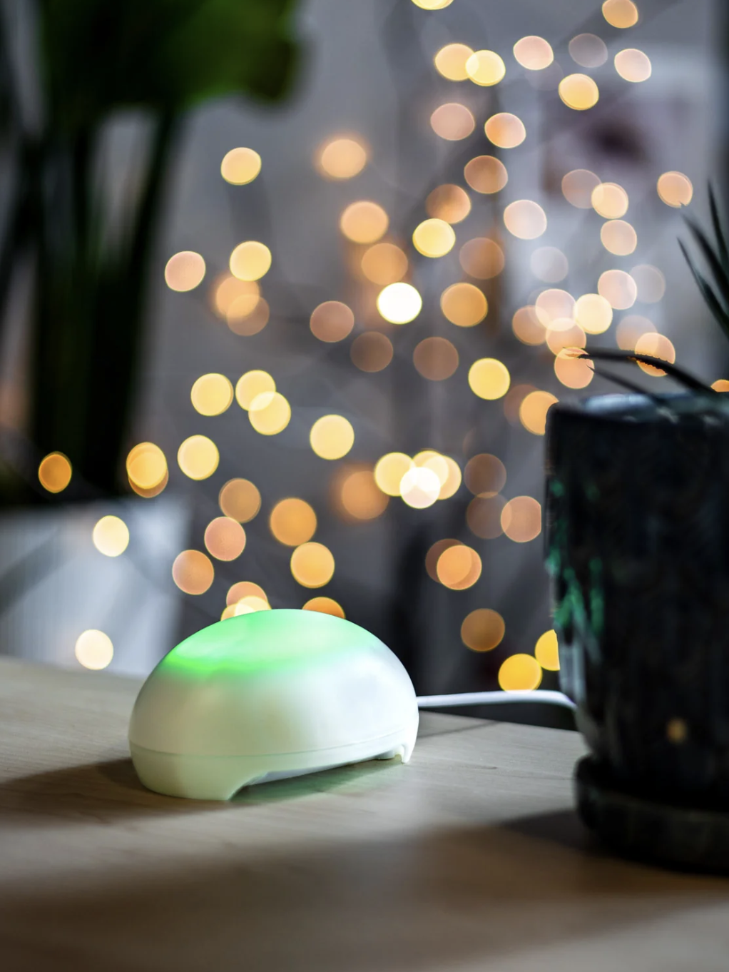 A white electronic device with a green light sits on a wooden table beside a potted plant. Blurred yellow lights glow warmly in the background.